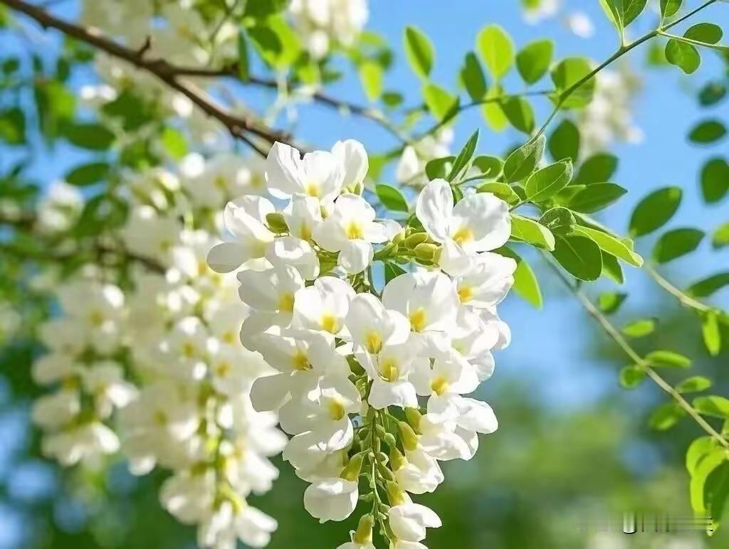 悄悄学会的交友秘诀1. 人品为先：重信诺、有分寸，远离言而无信、搬弄是非