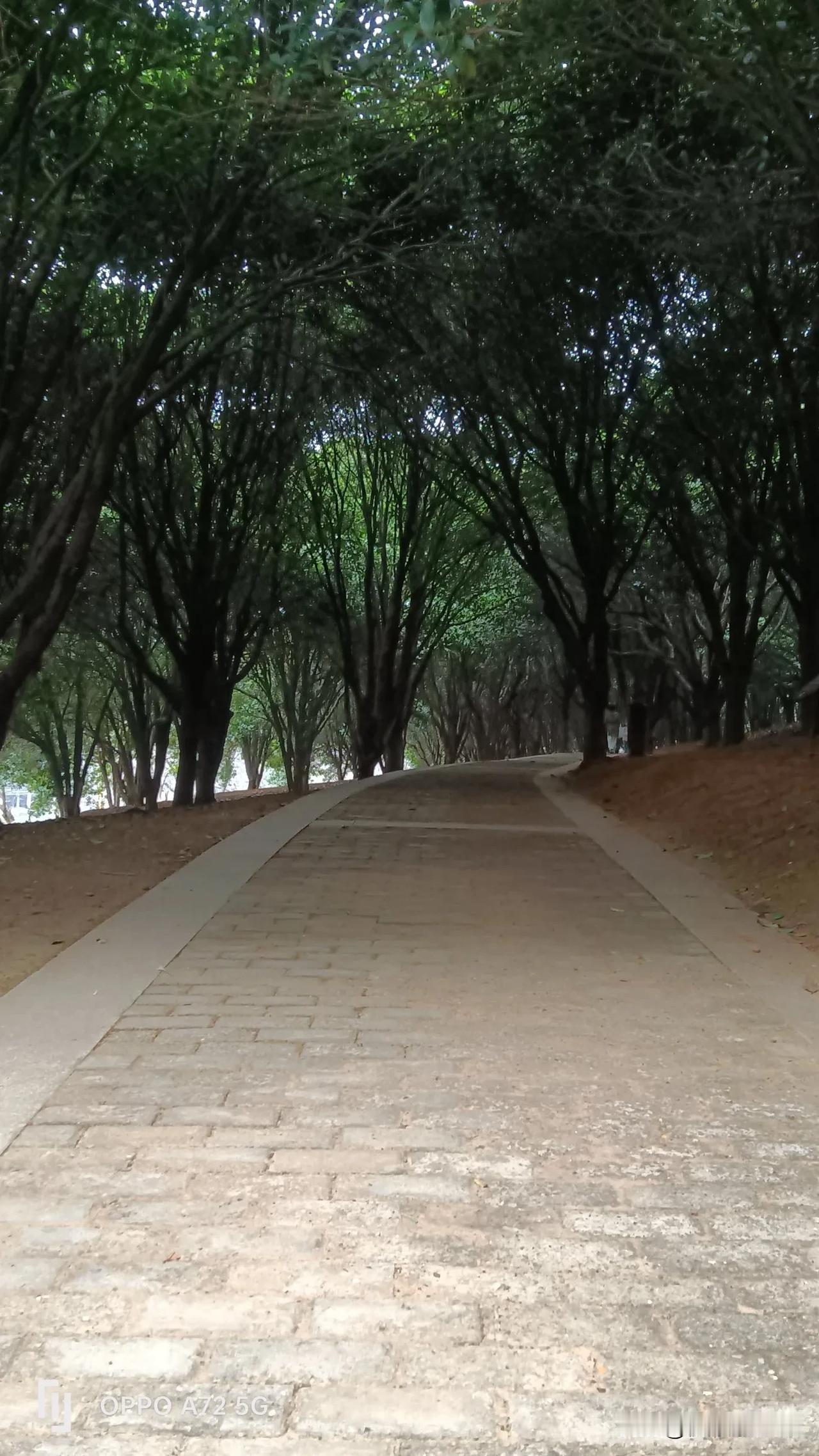 看见了吗？阴阳两界的分割线非常明显。有人就是不信邪，左边是阳，右边是阴，