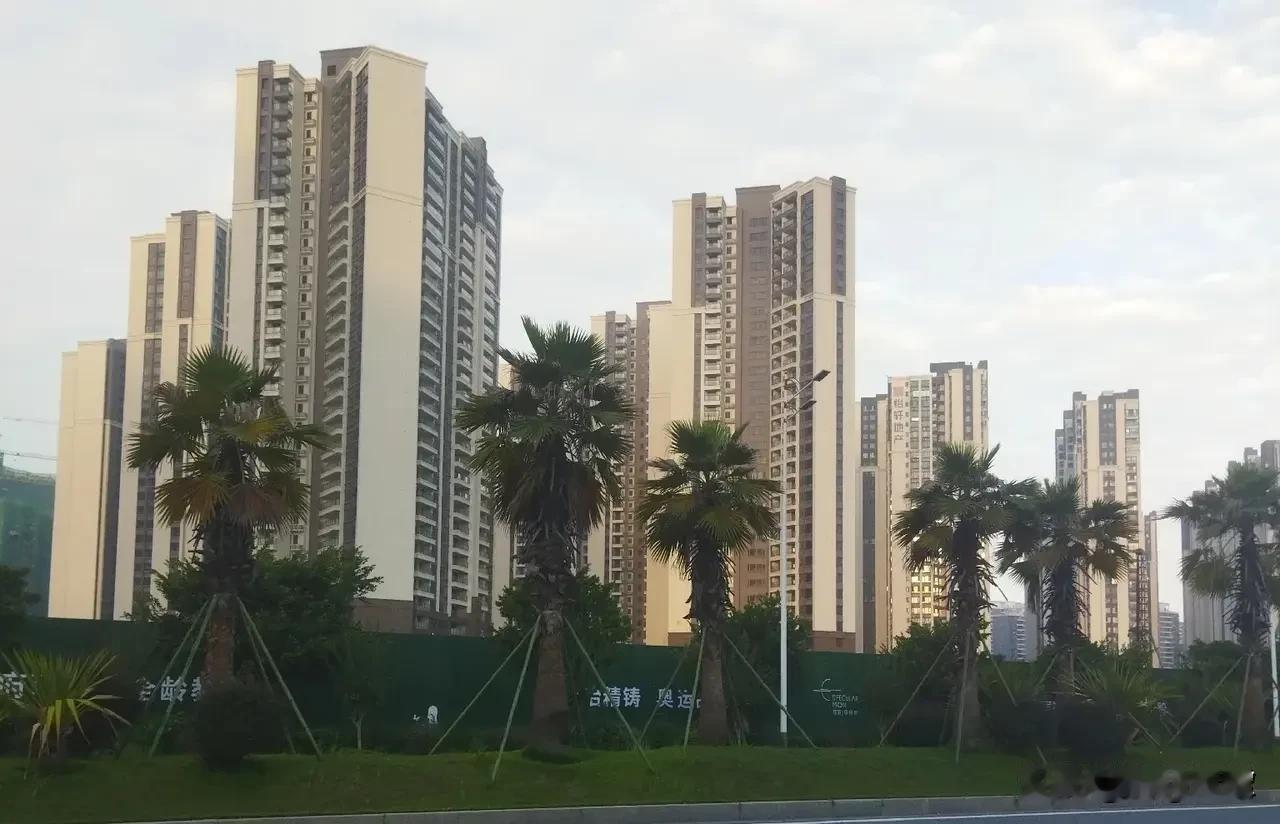 房子已经成为了我的一块心病，卖又卖不掉，租又租不出去，每个月还要交物业费，还银行