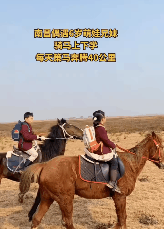 小的时候都幻想骑马上学的场景，结果被他人实现了！