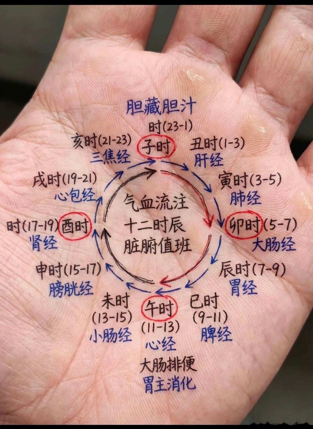 李可老先生肾四味温养肾精、温柔补火不燥烈的妙方戊土需水火既济阳气固藏守而可升的思