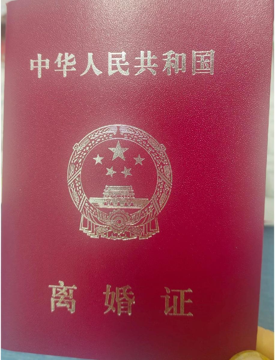 我离婚了，看似解脱，却扛下了一屁股债，压得喘不过气。儿子女儿都归我抚养，房子车子