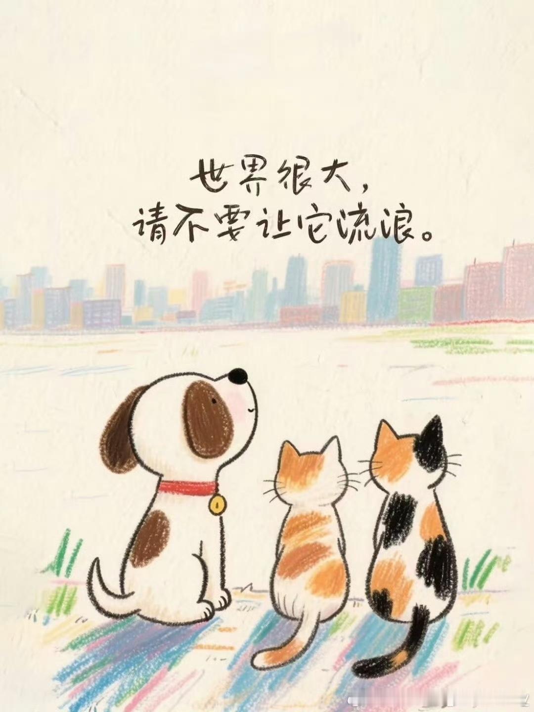 鸿星尔克店内收留流浪猫狗从前只是门店自发收留流浪猫狗，搭建爱心小屋、捐赠宠物口粮