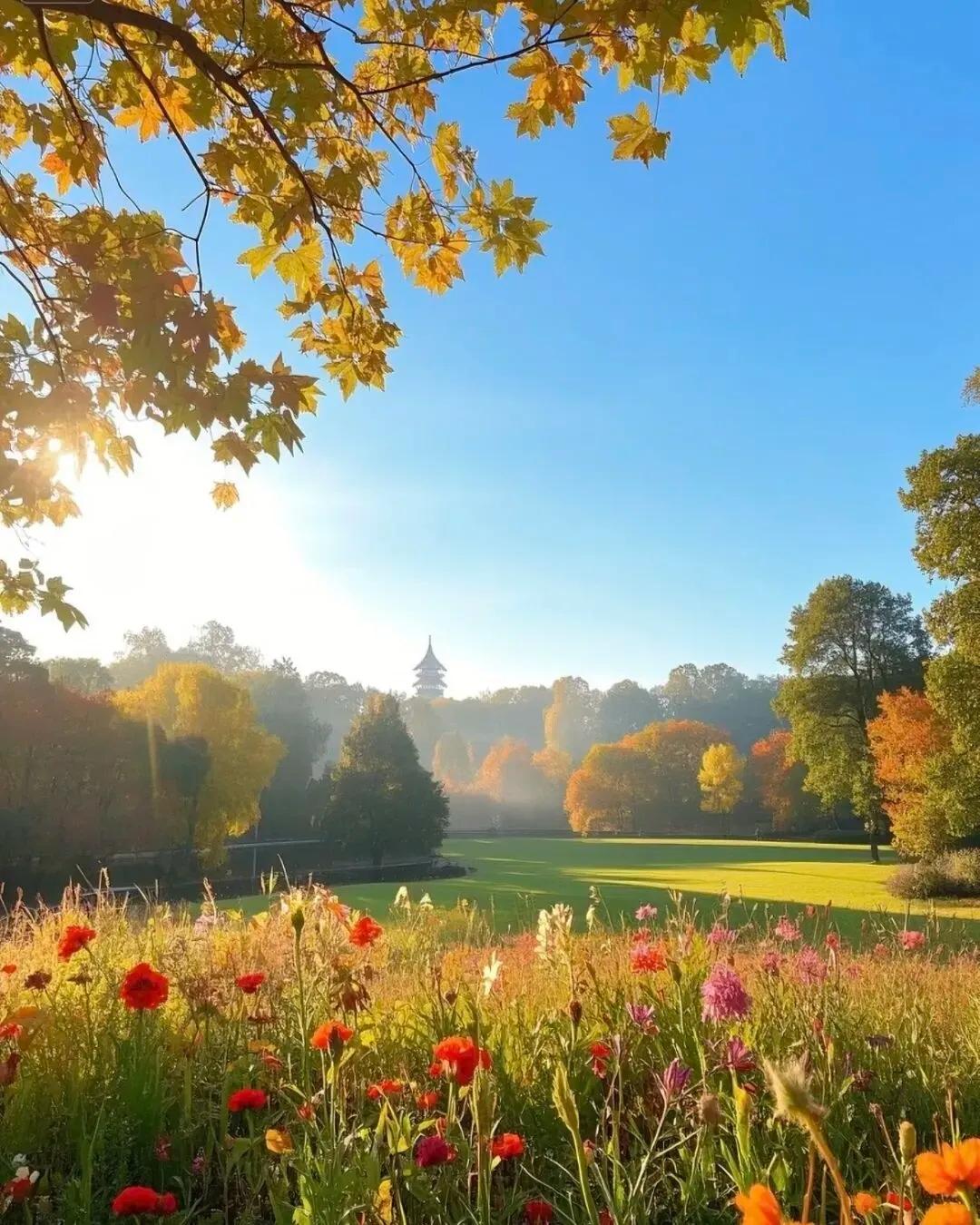 生命最好的样子，是活出自己的精彩，而不是活成别人的期待。人生漫长又短暂，每一