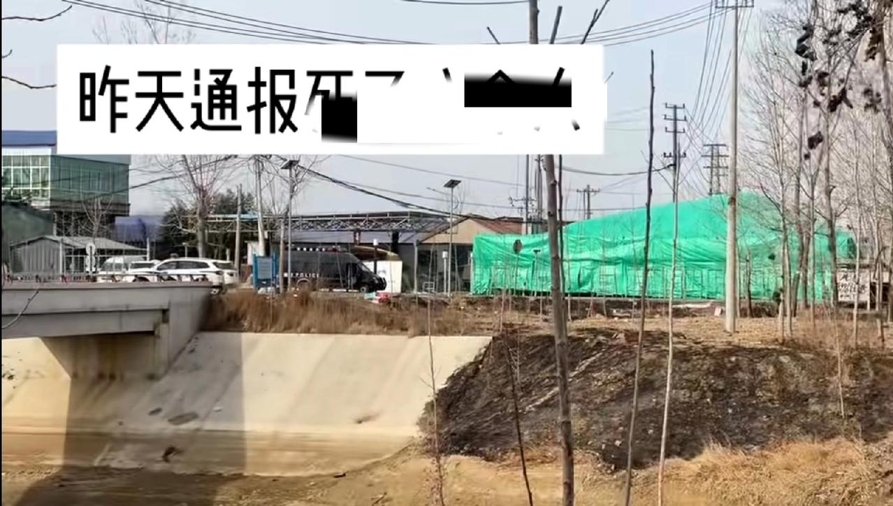 爆燃烟花爆竹经营部，用绿皮布包起来了，当地女网友实拍，老板姓李，32、3岁，已经