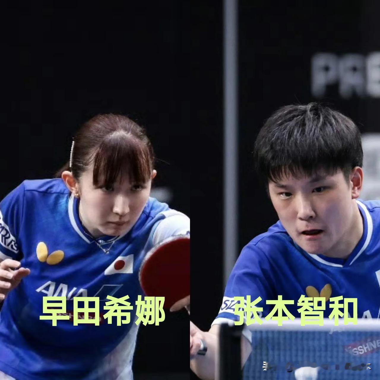 早田希娜和张本智和也是内战谁也打不过了！自从二人不打混双之后，单打能力也跟着下降