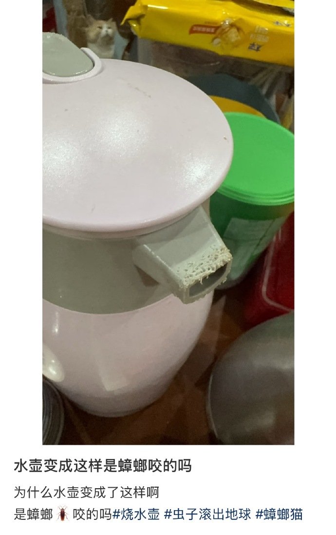 水壶变成这样是怎么回事