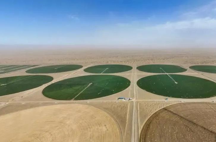 塔克拉玛干沙漠边7000亩麦田出穗了🔥炸了！谁能想到，塔克拉玛干沙漠边上