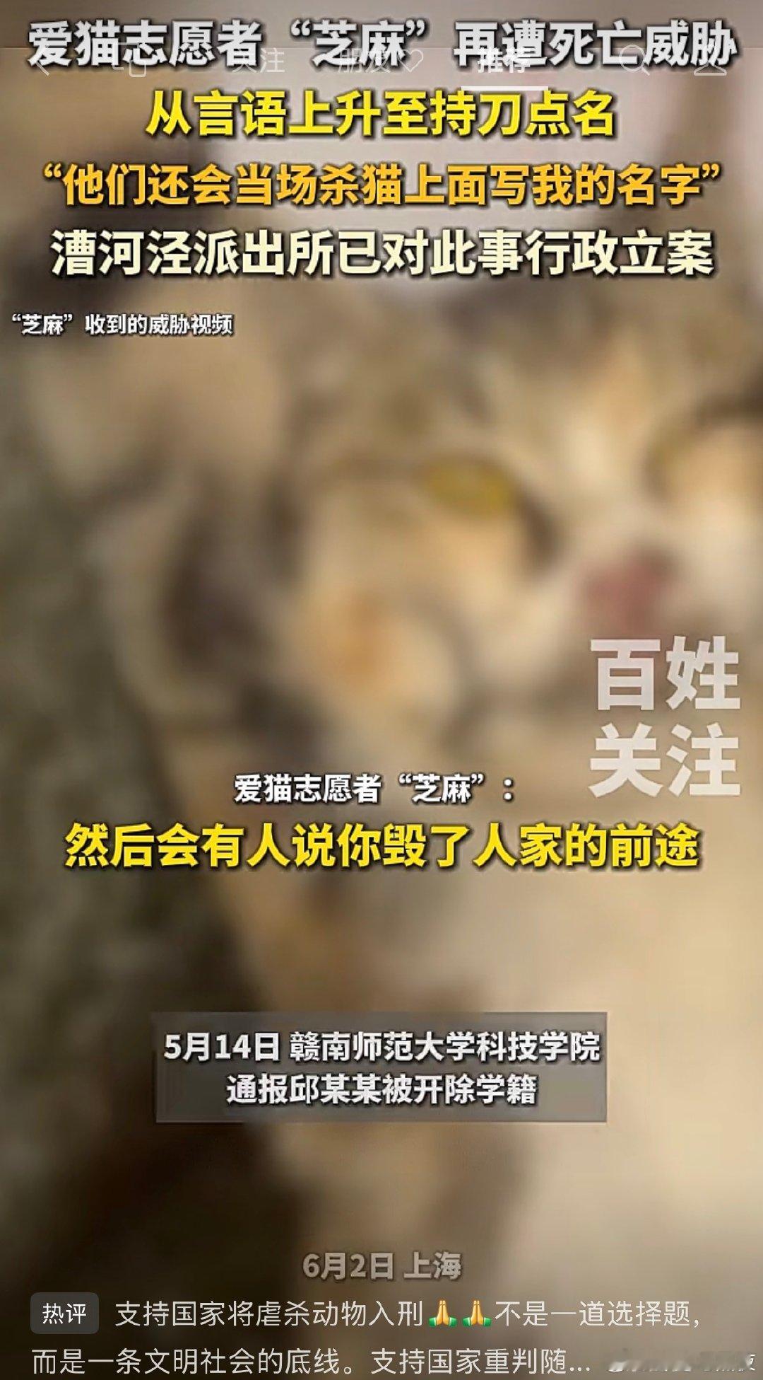 看到有虐猫犯被举报后被学校开除，于是开盒别人、甚至持刀威胁举报者，评论区都说“虐