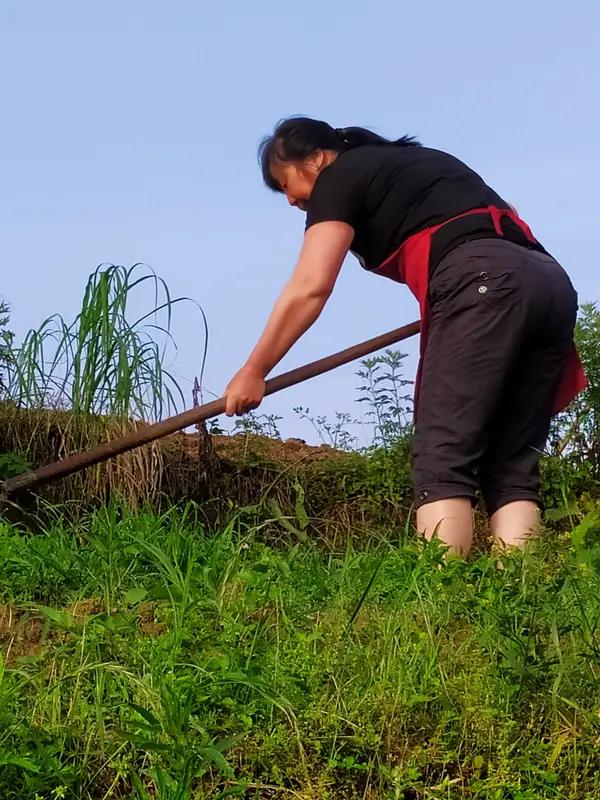 现在的亲戚真的太现实了！就说上周我大姐家小女儿结婚，我家给了2000礼金，大哥家