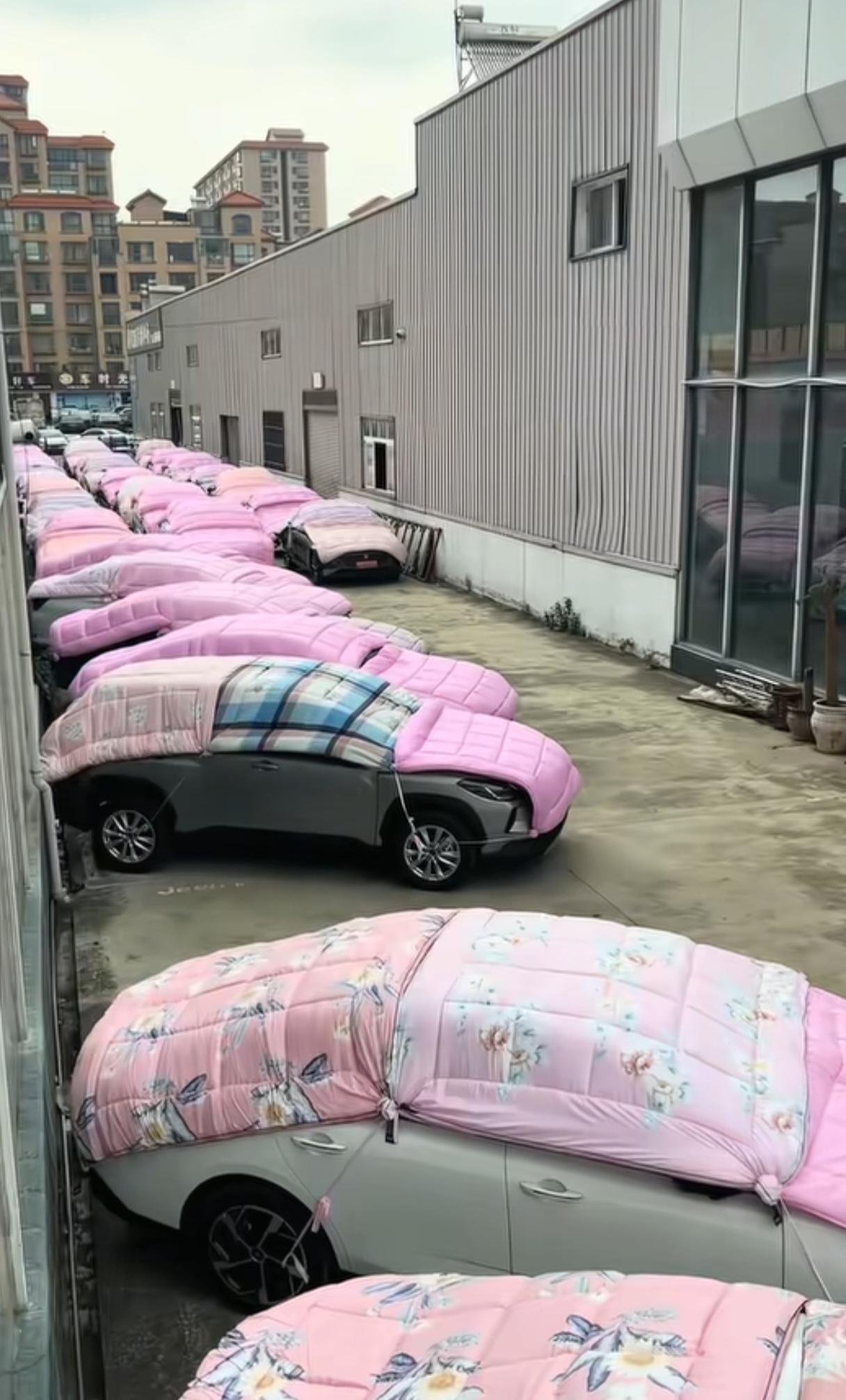 曲靖车商连夜买400条棉被，三层盖车抗冰雹半夜往车上盖被子，这画面谁能想到会