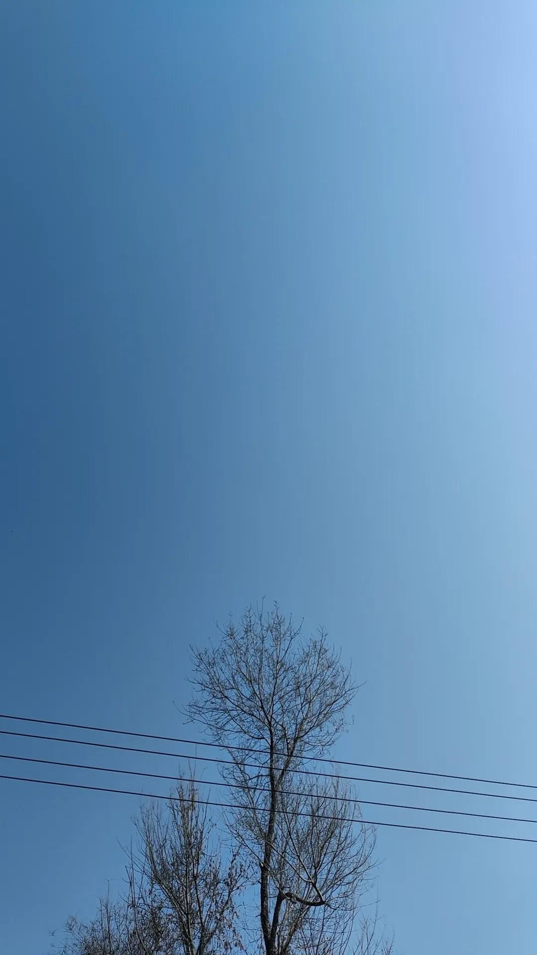 最好的育儿方式，其实是跟孩子大量说话很多人看不上这句话，但是你细想起来，咱们跟