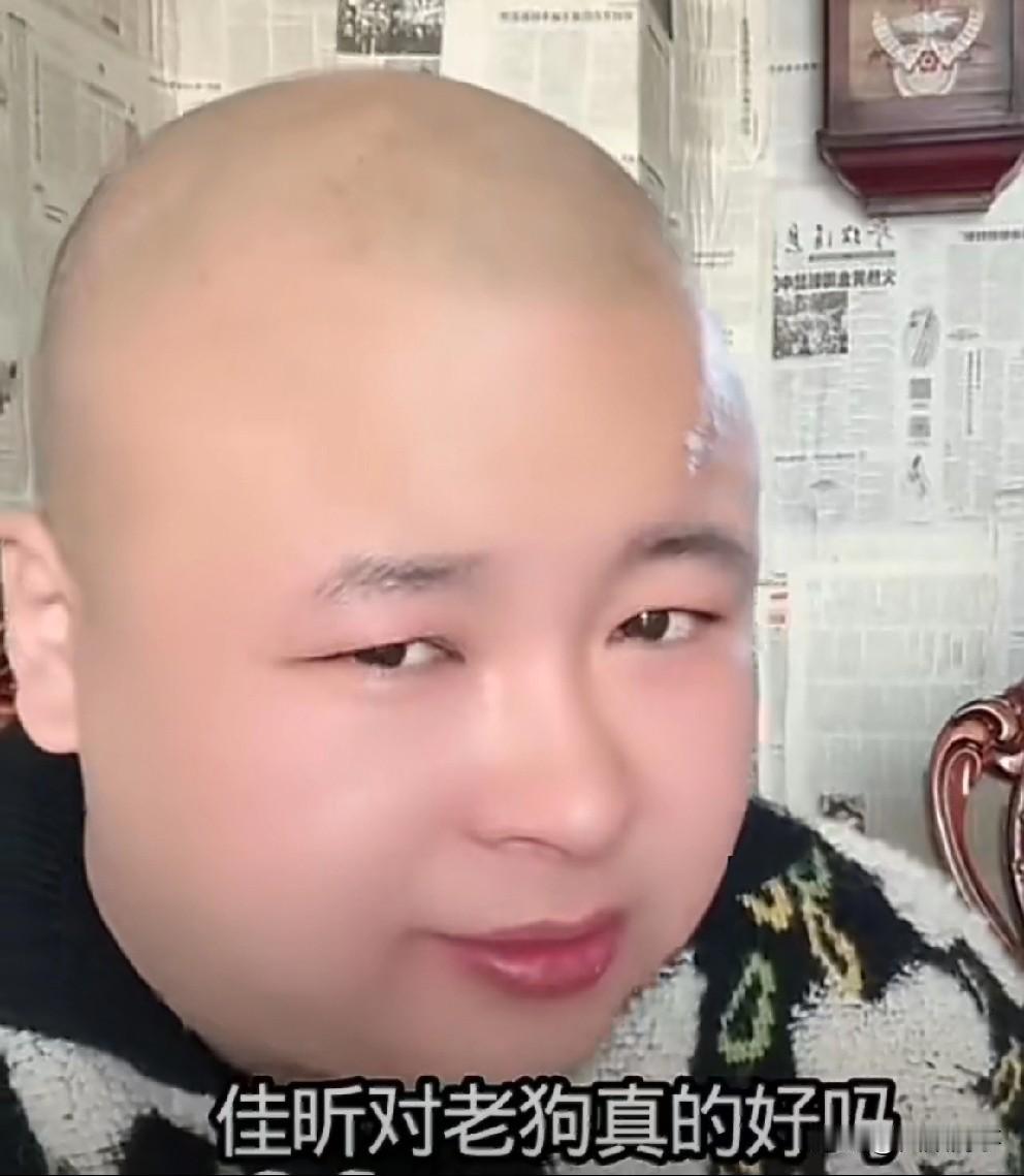 老狗说前妻白雨撒谎立人设，净给寡妇洗脑！老狗说佳希对我