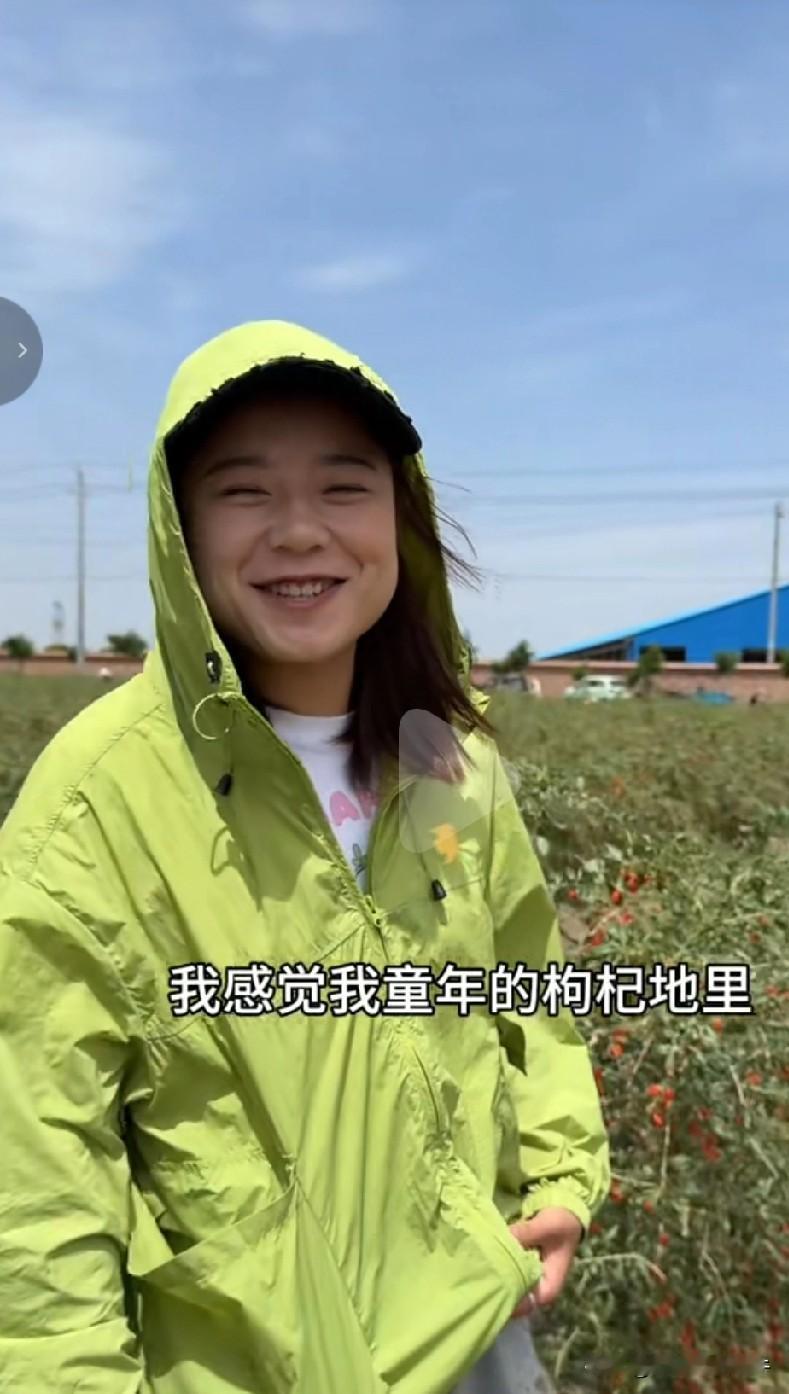看来宁夏农村娃童年的噩梦就是摘枸杞一大片枸杞地，枸杞上又有刺，真心不好摘