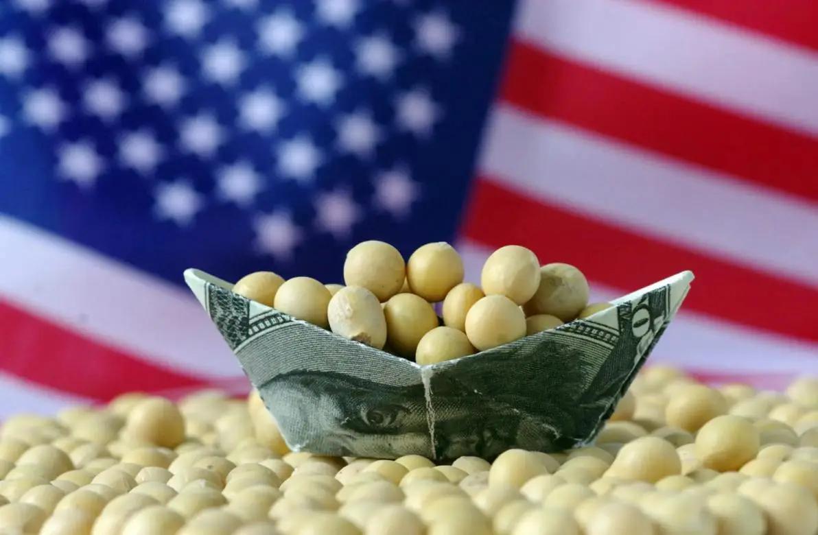 比停止采购美国大豆更可怕的，可能是中国竞然全程对此显示出的漠视和淡漠！202