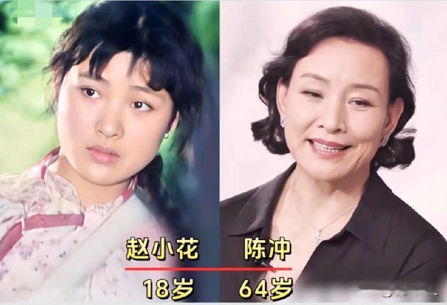 《小花》时隔46年后演员今昔对比！