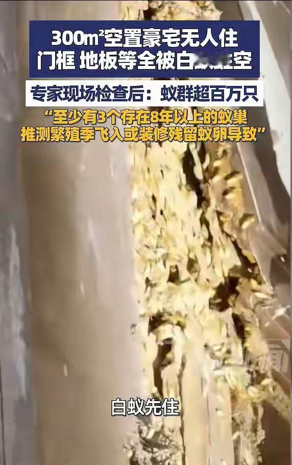 谁能想到，三百平的气派豪宅，空关五六年竟成了百万白蚁的“安乐窝”！好好的实木门框