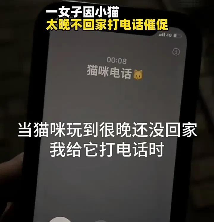 怎么可以聪明成这样！近日，一名女子发视频称，自己养的小猫出去玩，但很晚都没有回家