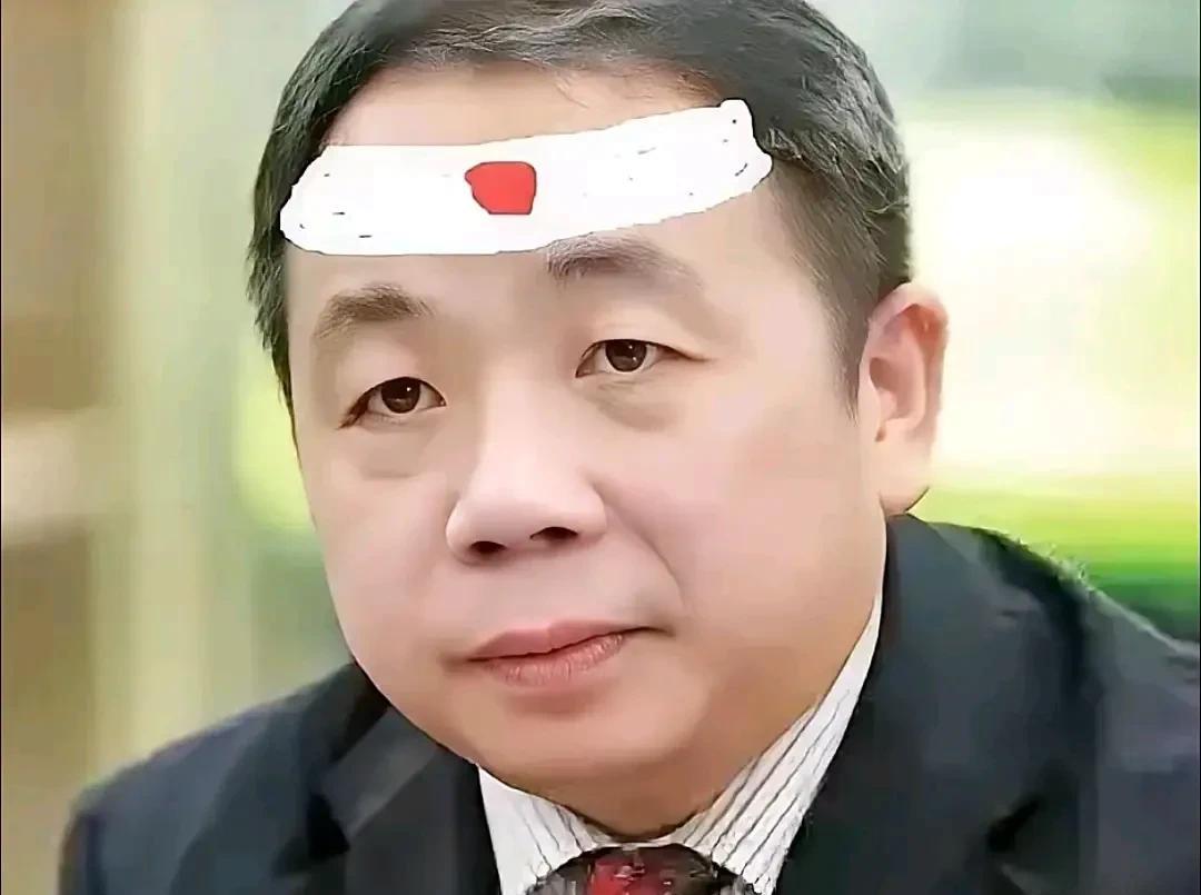 当年读到这一段时，我承认我有被恶心到了。“以前我也经常回中国的。我的研究资料主
