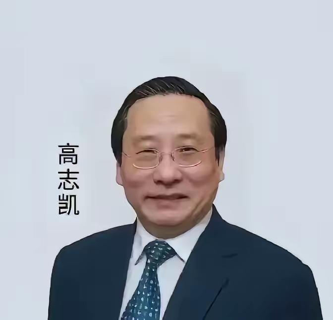 日内瓦封神！高志凯当众撕碎西方谎言：中国的温柔，从不是软弱如今的国际舆论场，
