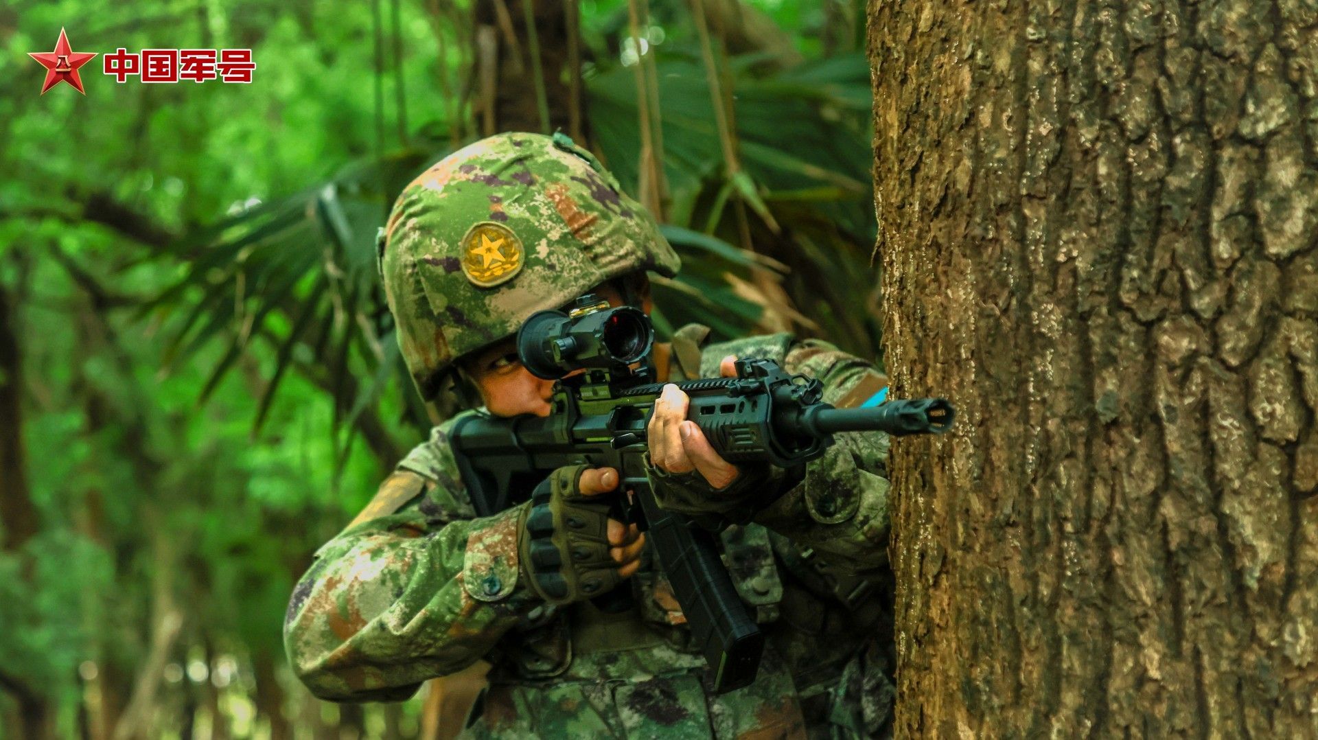 近日，东部战区空军某部依托丛林地域开展阵地防卫专项演练。