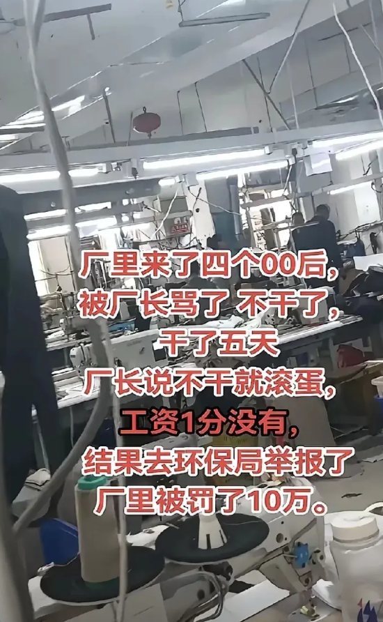厂里新来了四个00后，才干了五天。厂长骂了他们一顿，他们就说不想干了。厂长说不干