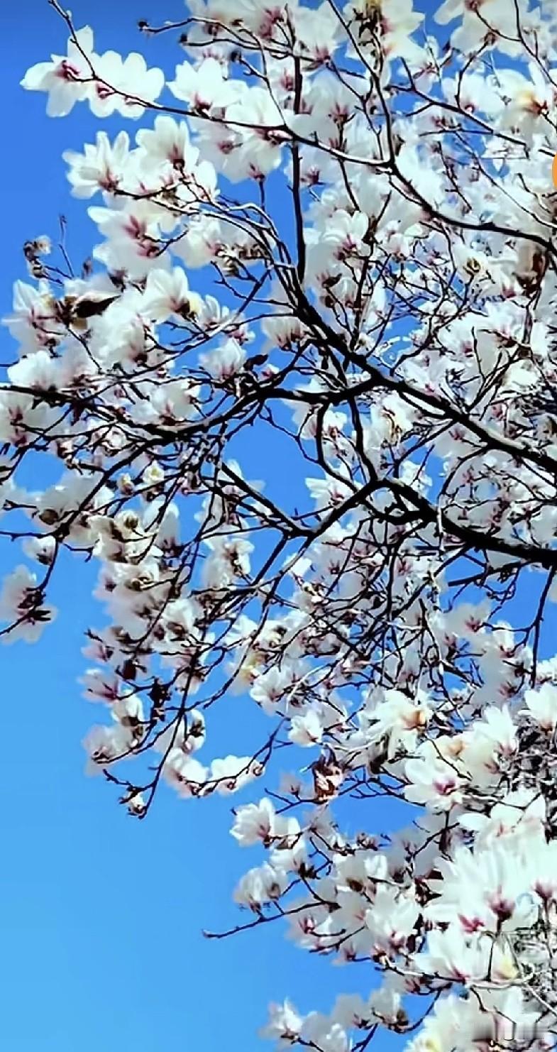 男女之间有了亲密关系后，是看不清对方的。因为滤镜一戴，全是对方的好，即使不好你也