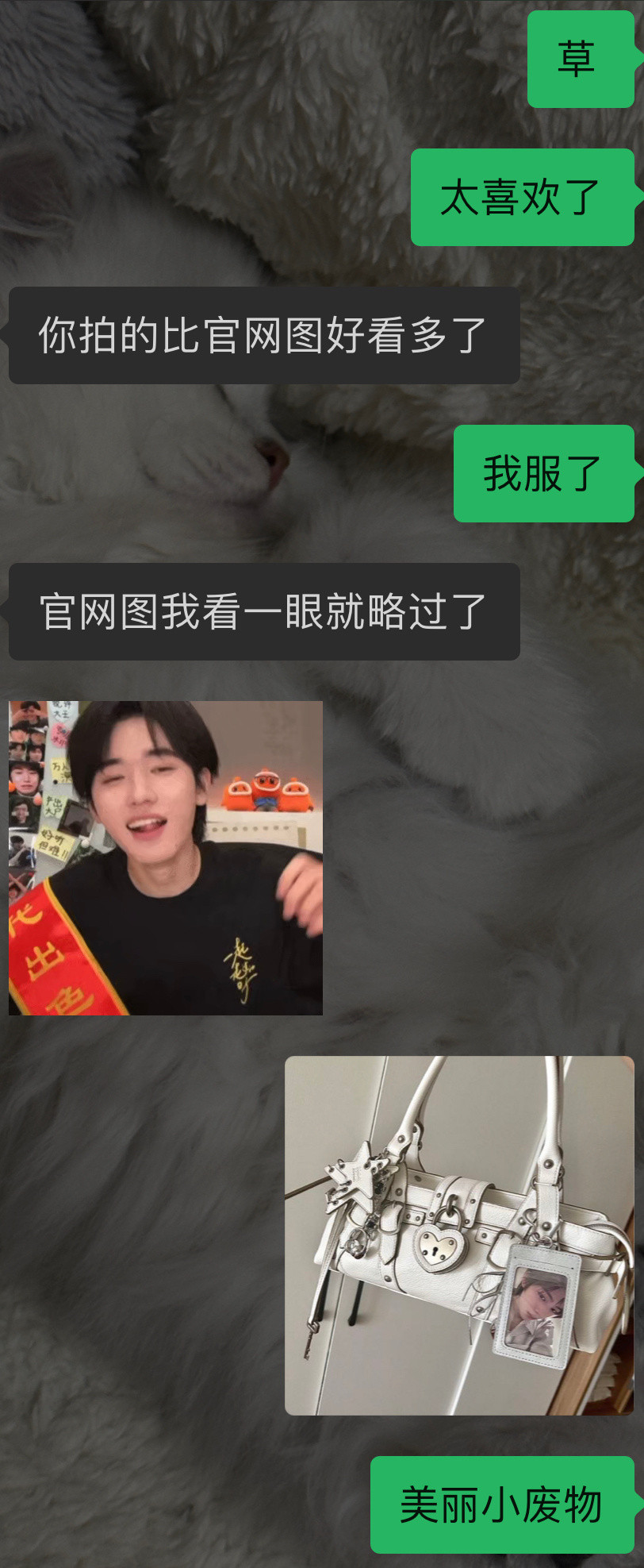 美丽小废物太几把好看了