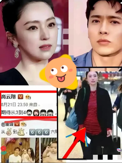 终于弄明白，高云翔光速再婚高云翔离婚才半年，新妻子就怀孕了。董璇在节目里说漏
