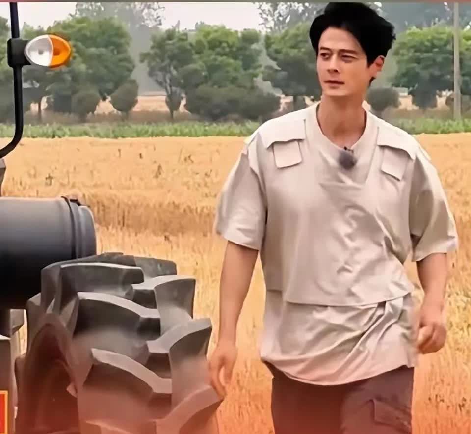 在外不管挣多少钱，都抵不过一句“麦子熟了”中国台湾长大的男明星郭品超，自