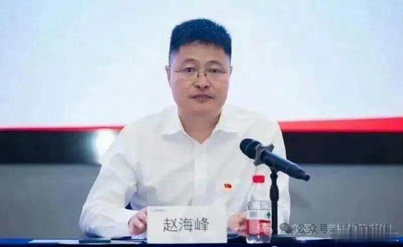 赵海峰接受调查多方回应女子杭州酒局遭伤害杭州涉事高管曾是高考状元清华毕业