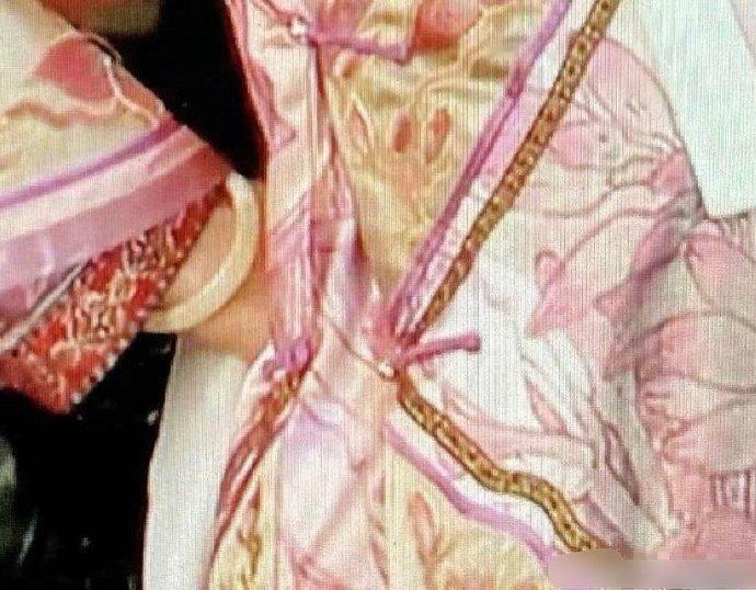 甄嬛传中，眉姐姐怀孕后衣服扣不上，但内务府未为她制作新衣。​​​