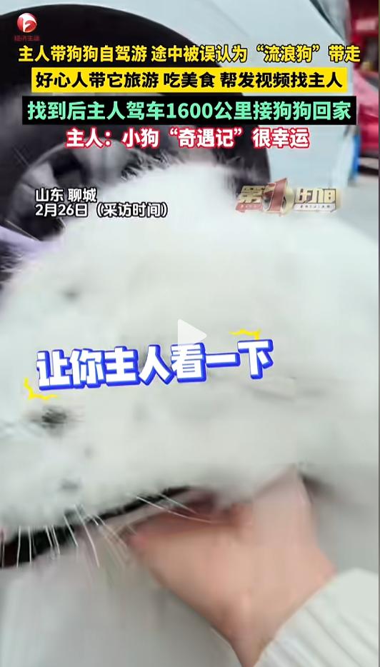 “活久见！”近日，山东，一狗子火出圈了。起因是狗主人带着它出去旅游时，在安徽一服