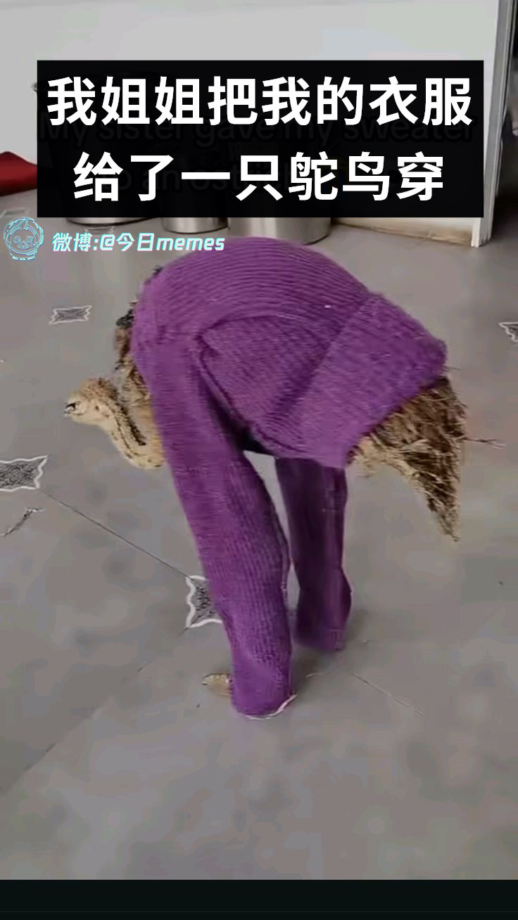 每天起床​​​