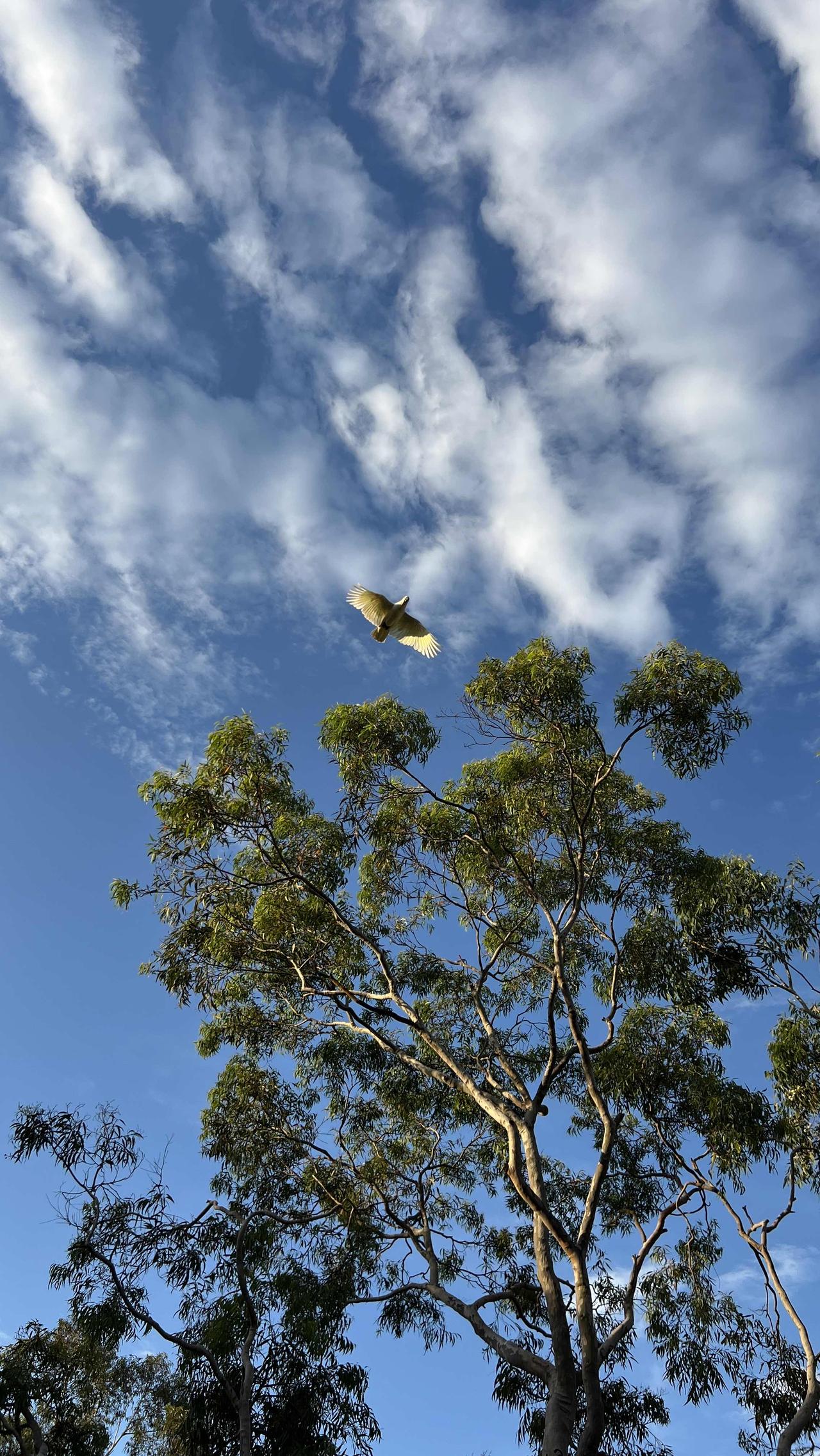 一个哲学家说：“当你有了一定的洞察力之后，一定要学会闭嘴，不要去帮任何人分析事情