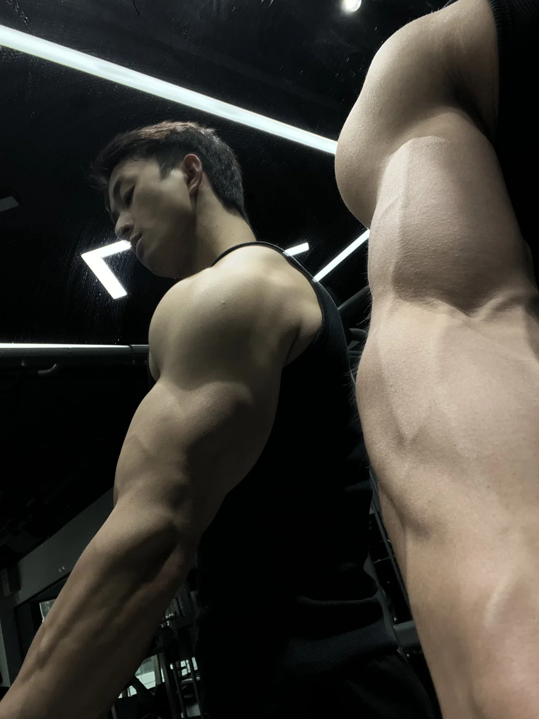 发一期背部训练