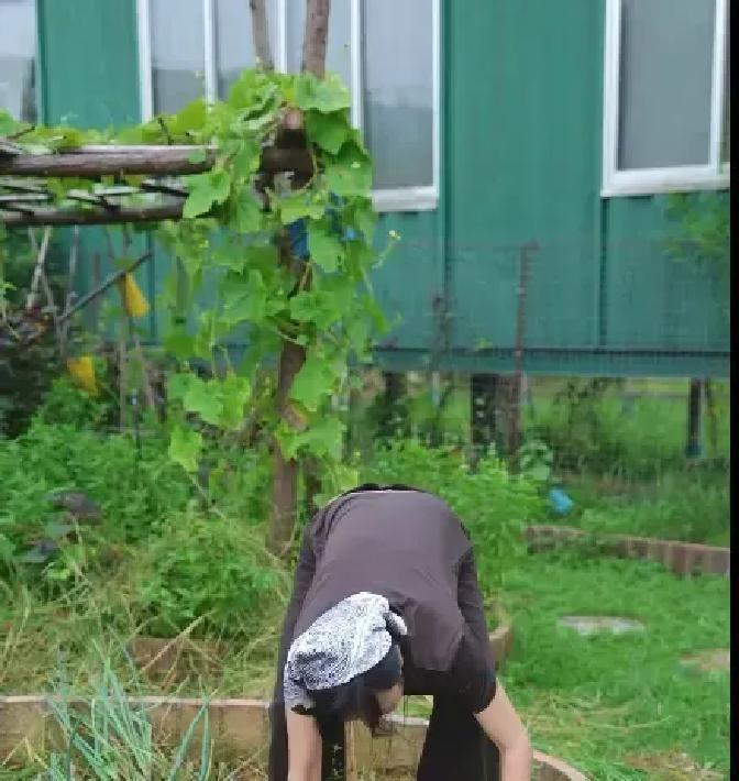 以前总觉得那些放着好日子不过、非要跑回后院刨土的女明星，纯粹是闲得没苦硬吃，直到