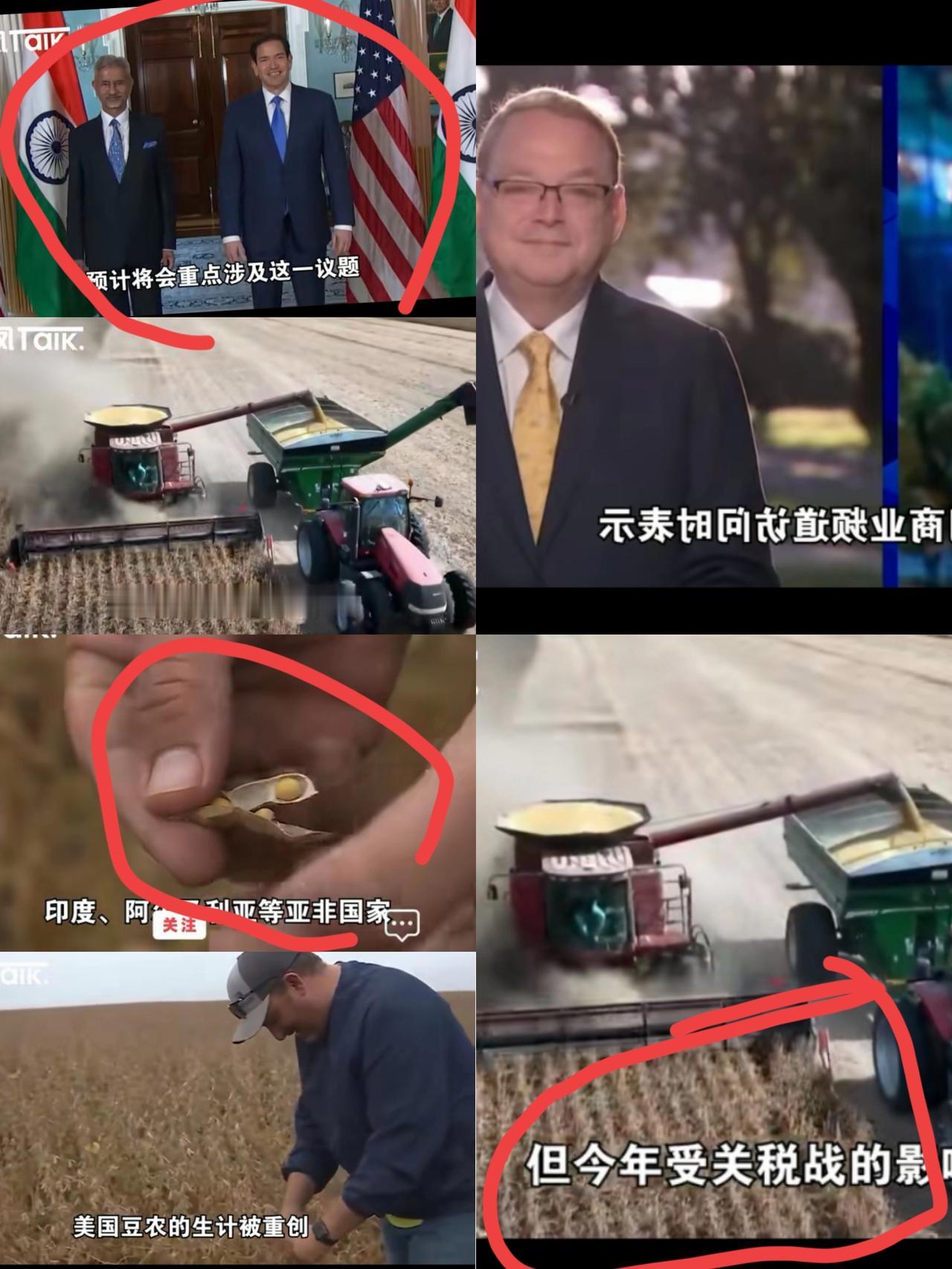 特郎普，这次真的着急了吧，中国不收美国大豆了，特郎普亲自满世界寻求收购者，甚至