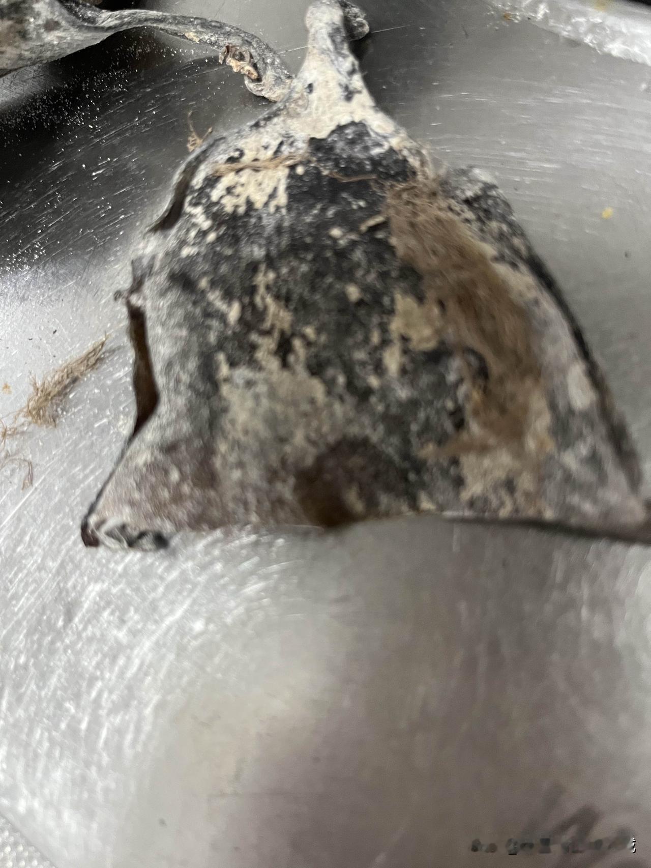 今天晚上被气到了。下班时路过超市，要紧买些大骨头，想着前几天在网上买的海带头