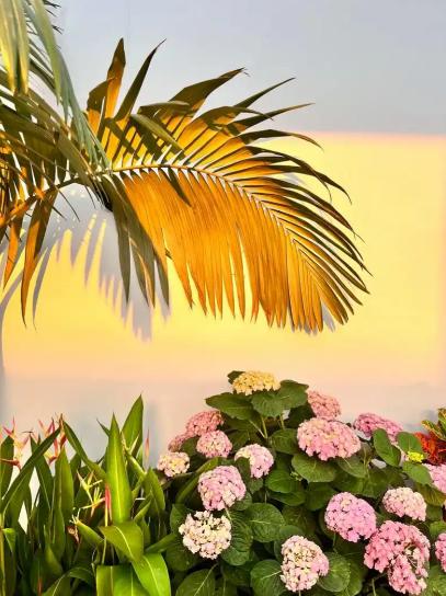 著名心理医生一段非常精辟的话：“不要脸不要命，走出一切心理疾病。焦虑