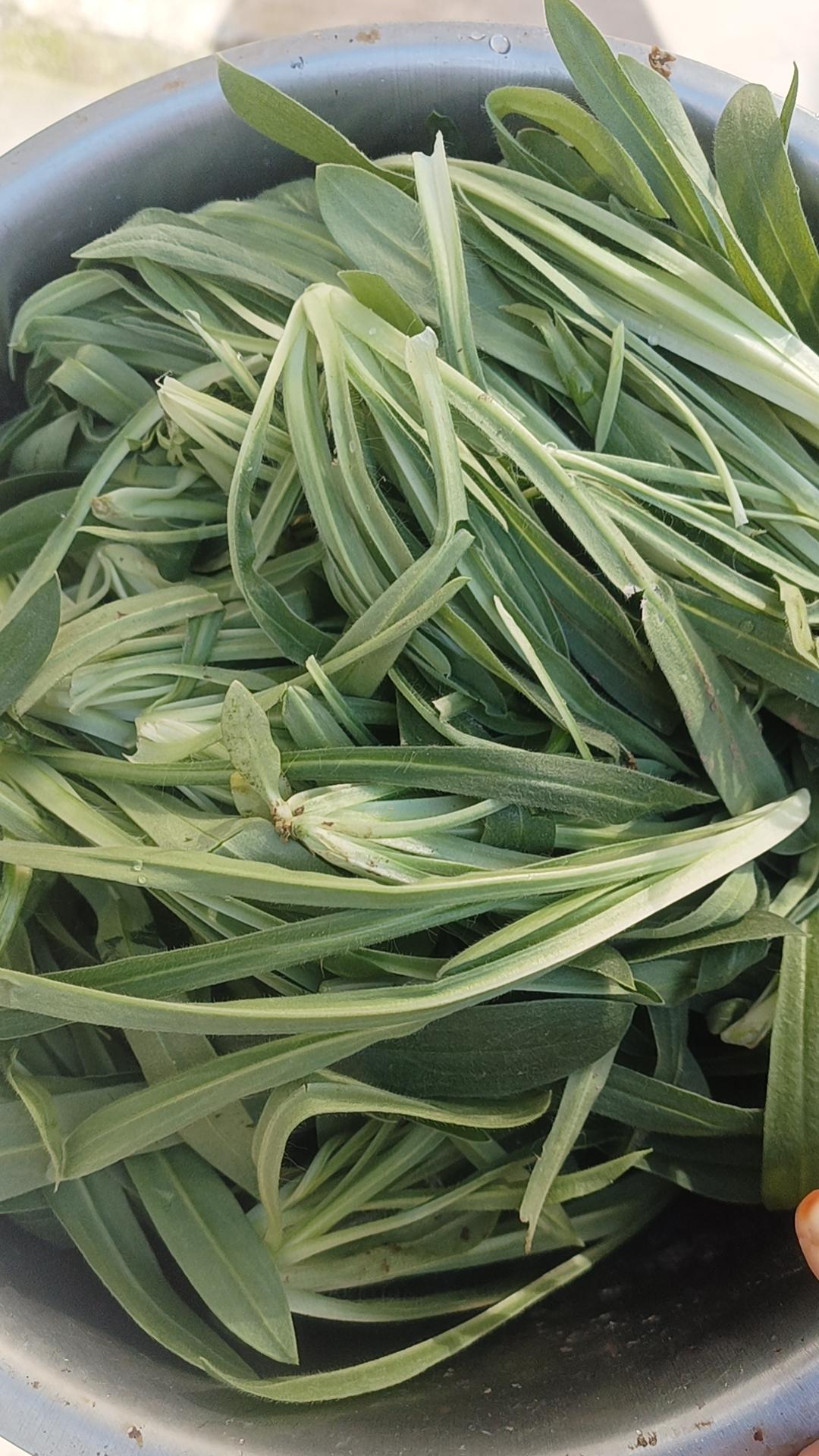 第一次蒸面条菜，发现还没有蒸豆角好吃呢，之前一直听说面条菜蒸起来有多么多么好吃，