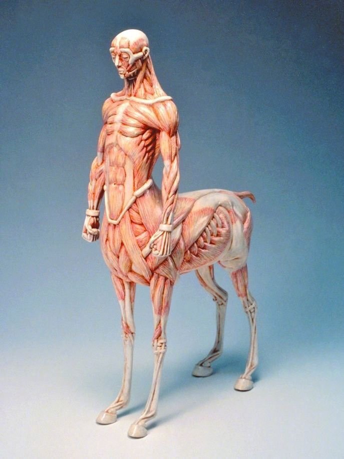 绘画欣赏日本艺术家木下雅雄（MasaoKinoshita）的雕塑作品，神话和