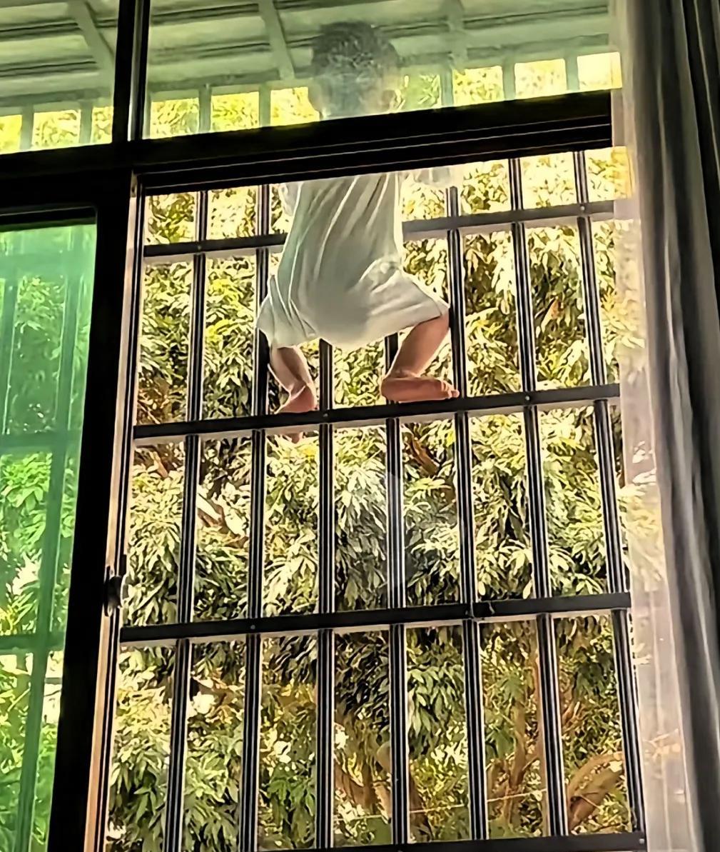 峨眉山的猴子，无师自通……闺蜜退休就去南方看孙子了，一走就是两年，昨天给我发了