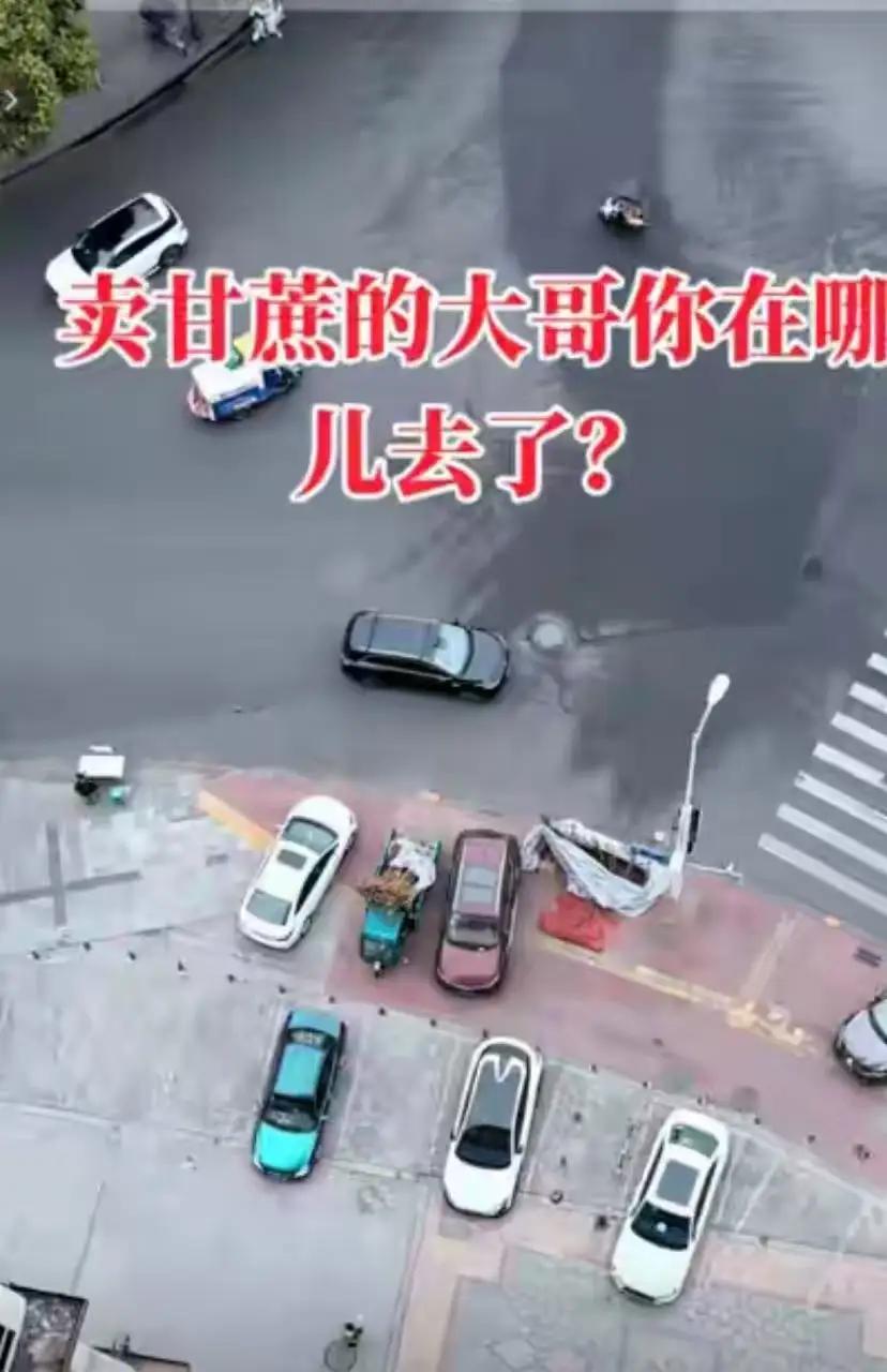 一车枯甘蔗牵动全城心：四川街头这场陌生人的善意，看哭全网在四川成都的街头，