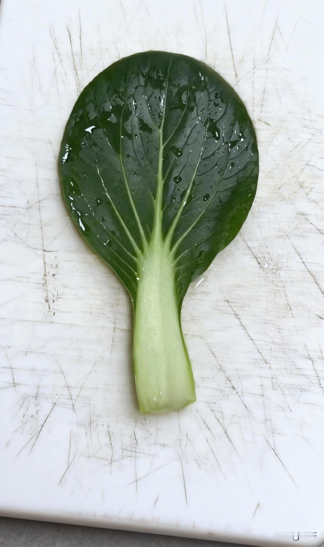 一片青菜叶子火出圈了！2026年平台最火的叶子它火，是不是因为它像： 