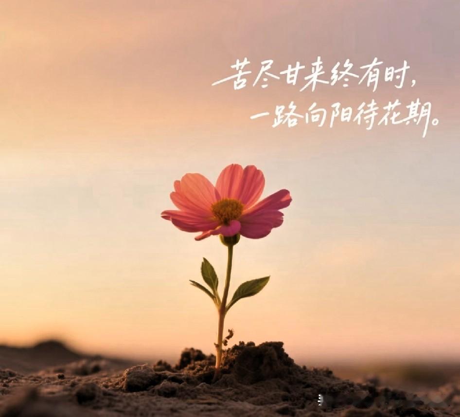 同事的女儿高考成绩出来了，一家人都傻眼了，确认又确认，没错，592分，平时模考最