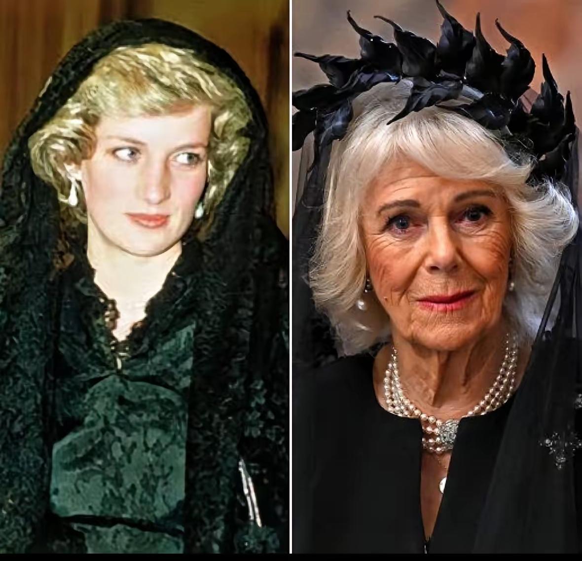 卡米拉，为何就偏偏爱那羽毛呢？想不通，这位王后是要流量，还是要骂名，不少活动中