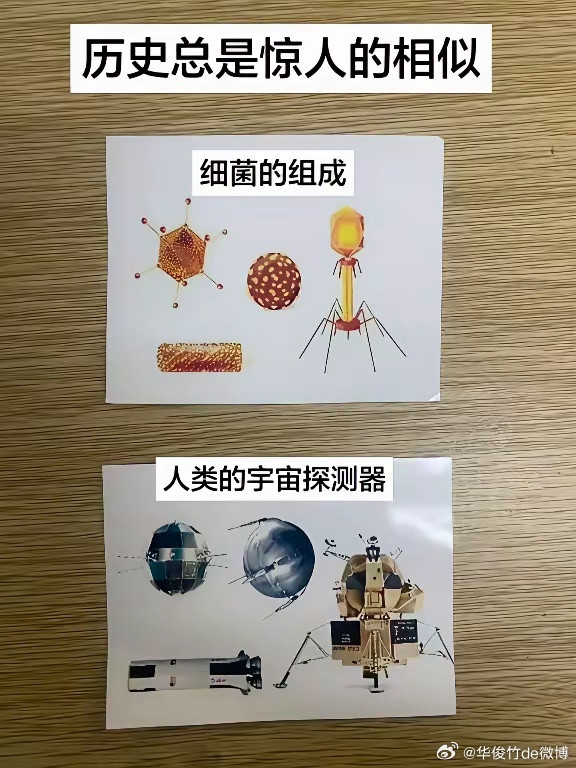 细思极恐，有没有一种可能，大家放开想一下。历史总是惊人的相似，细菌的组成，人类的