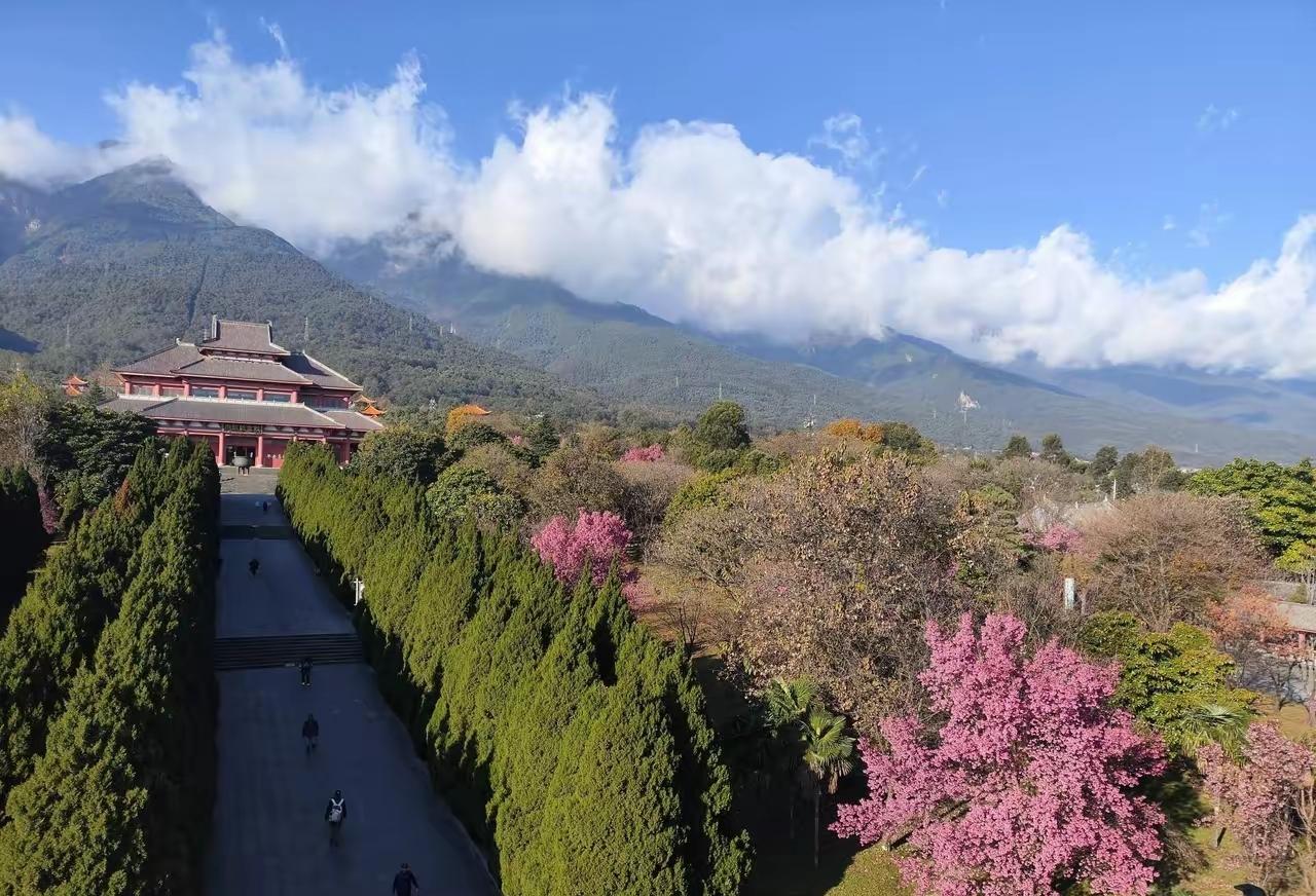 总念叨着要奔赴远方，真正到了大理才发觉，远方并非目的地，而是放下焦虑的心境。看洱