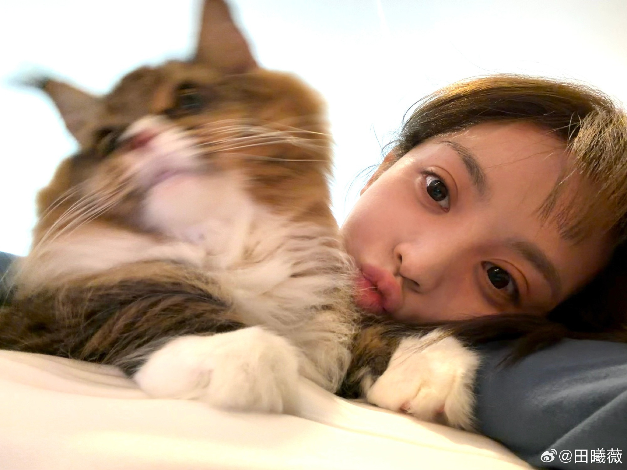 田曦薇喵喵咪咪猫猫咪咪喵喵​​​